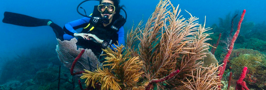 plongée sous-marine en République Dominicaine